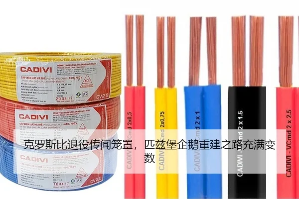ke-luo-si-bi-tui-yi-chuan-wen-long-zhao-pi-zi-bao-qi-e-chong-jian-zhi-lu-chong-man-bian-shu-2-340.jpg