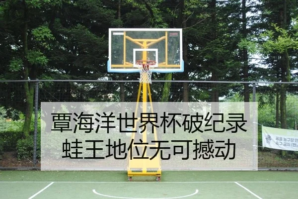 覃海洋世界杯破纪录 蛙王地位无可撼动